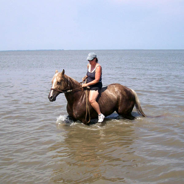 Trail Riding and Camping in the Great State of South Carolina